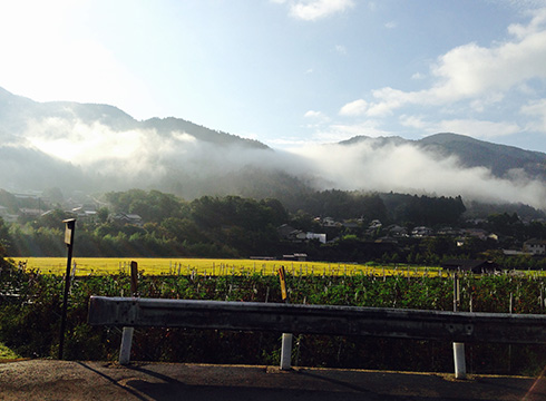 京都　大原の里　里山の恵み