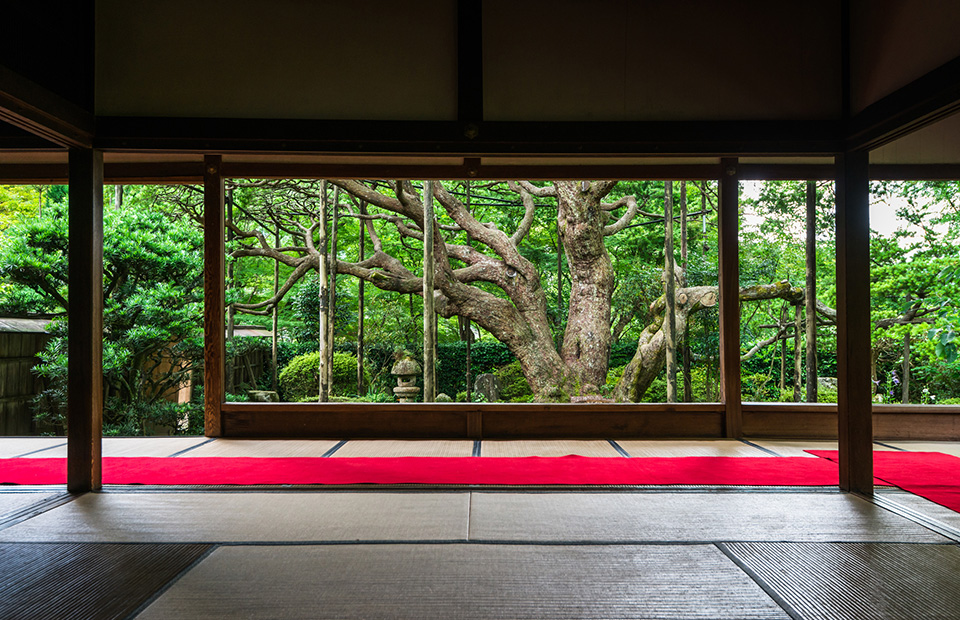 京都大原宝泉院