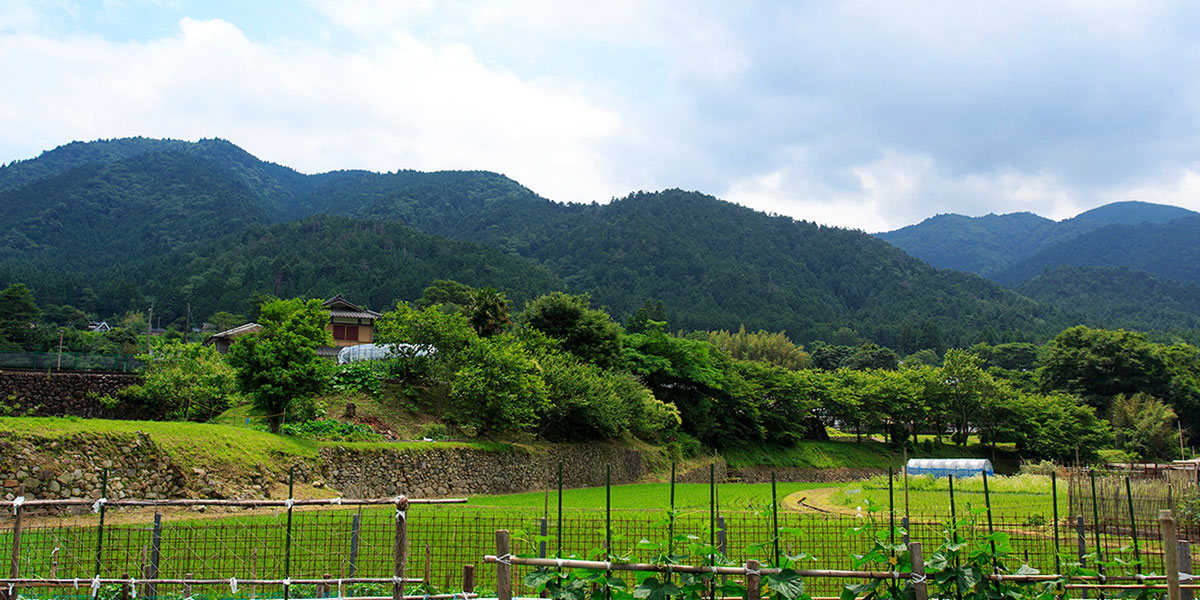 豊かな自然あふれる京都・大原