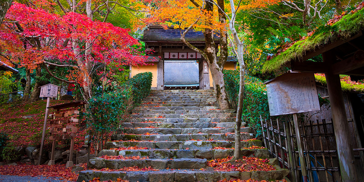 四季折々の景色と食材をお楽しみいただけます